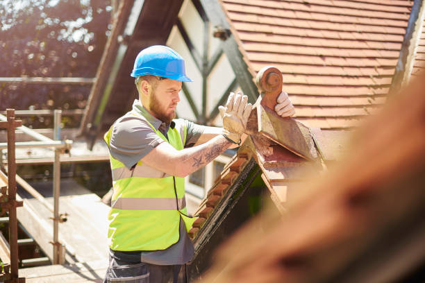 Best Residential Roof Replacement  in Mountain View, AR